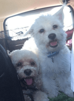 Mickey and Molly